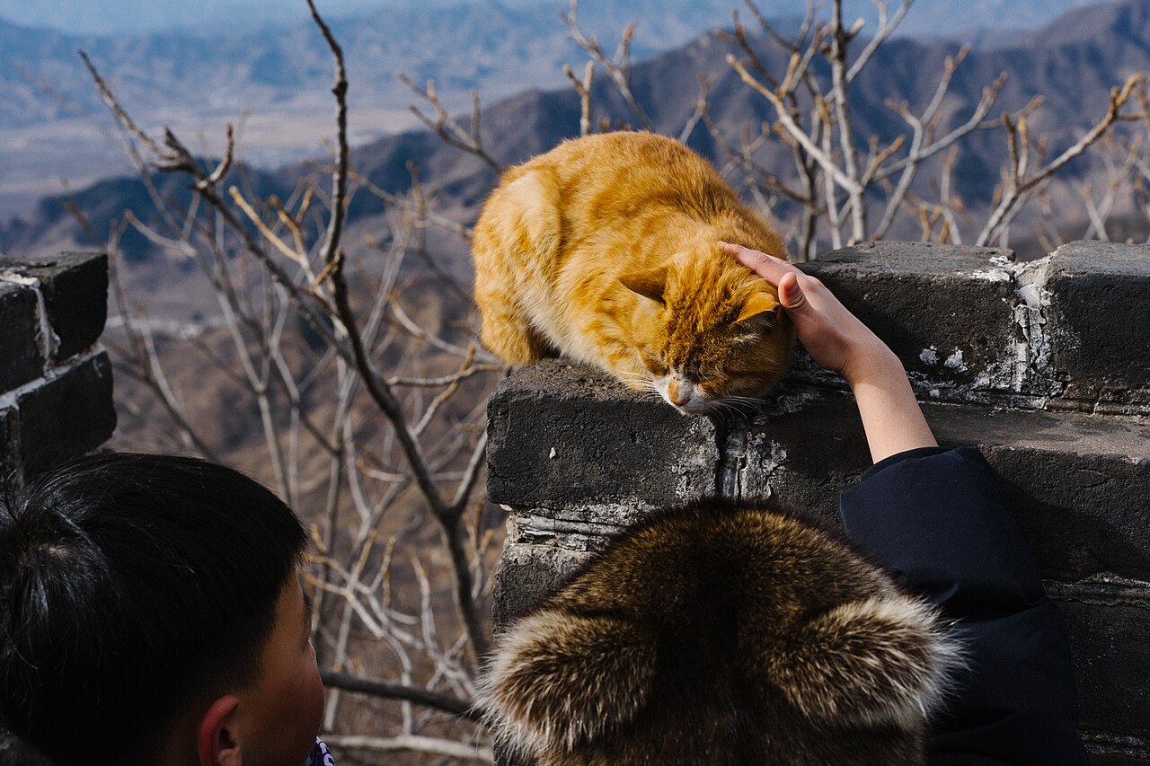 Great Wall travel guide - Badaling section with tourists on restored wall