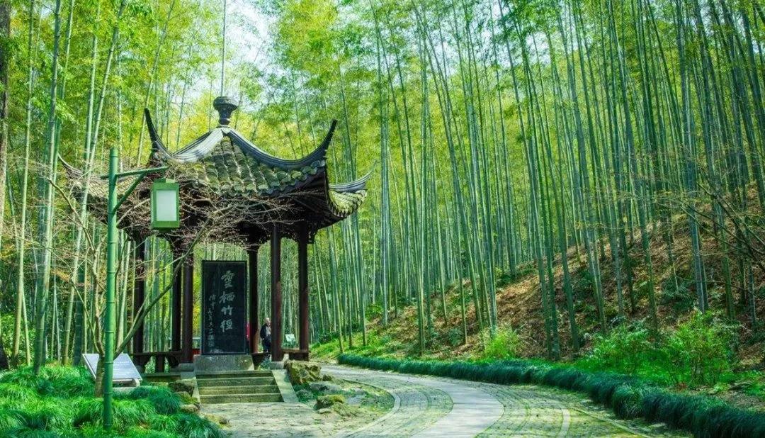 Hangzhou hiking guide in Shanghai, China