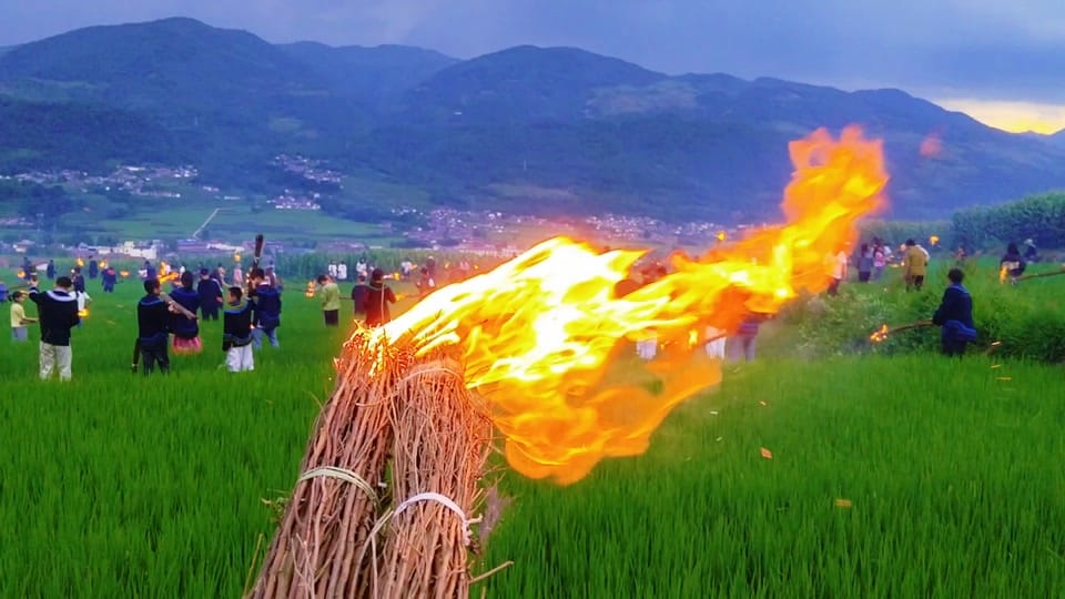 Large flaming straw torch burning in a green rice paddy field during Yi Torch Festival celebration, with mountain village and evening sky in the background
