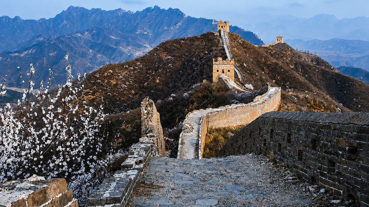 The restored Jinshanling Great Wall snaking across mountain ridges in spring, with ruined stonework in the foreground, distant watchtowers and white mountain blossoms
