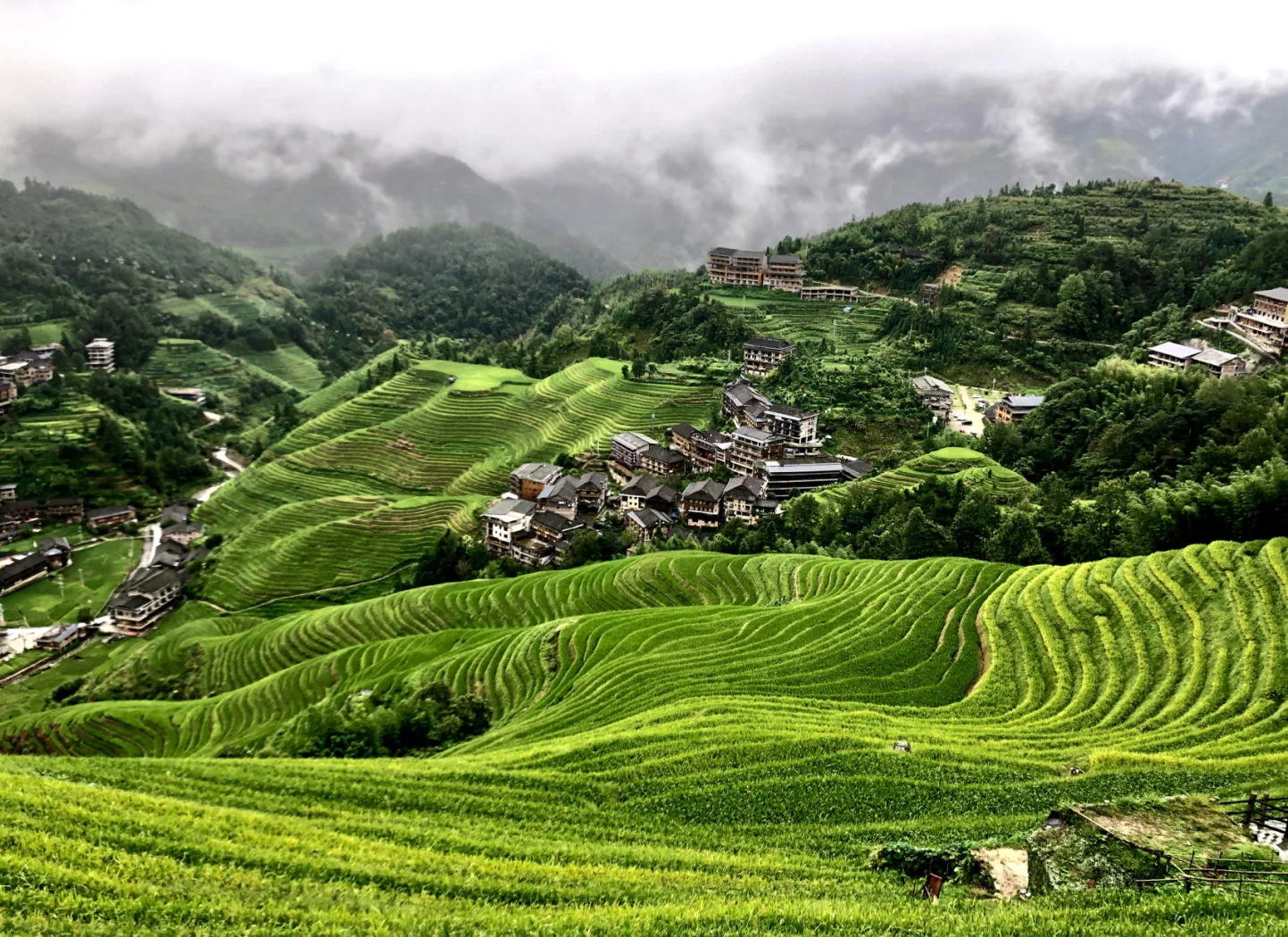 Lush green Longji Rice Terraces with village and misty mountains in summer