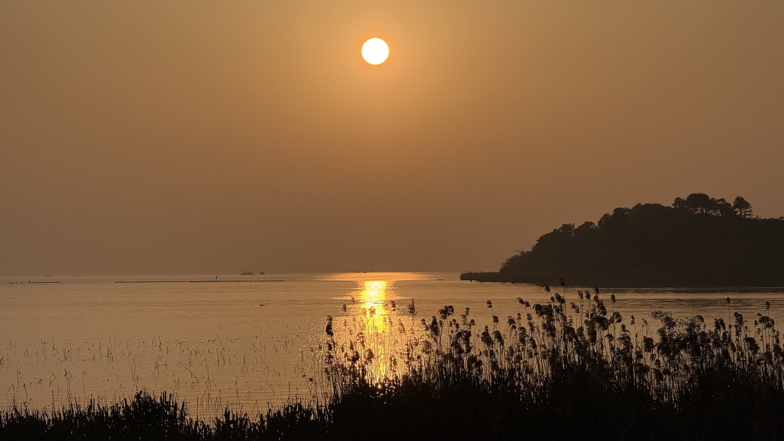 Cyclists on the blue Taihu lakeside cycling path at sunset